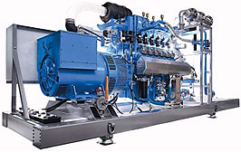 RSE Energi© GEN - Gas Powdered Generator Set